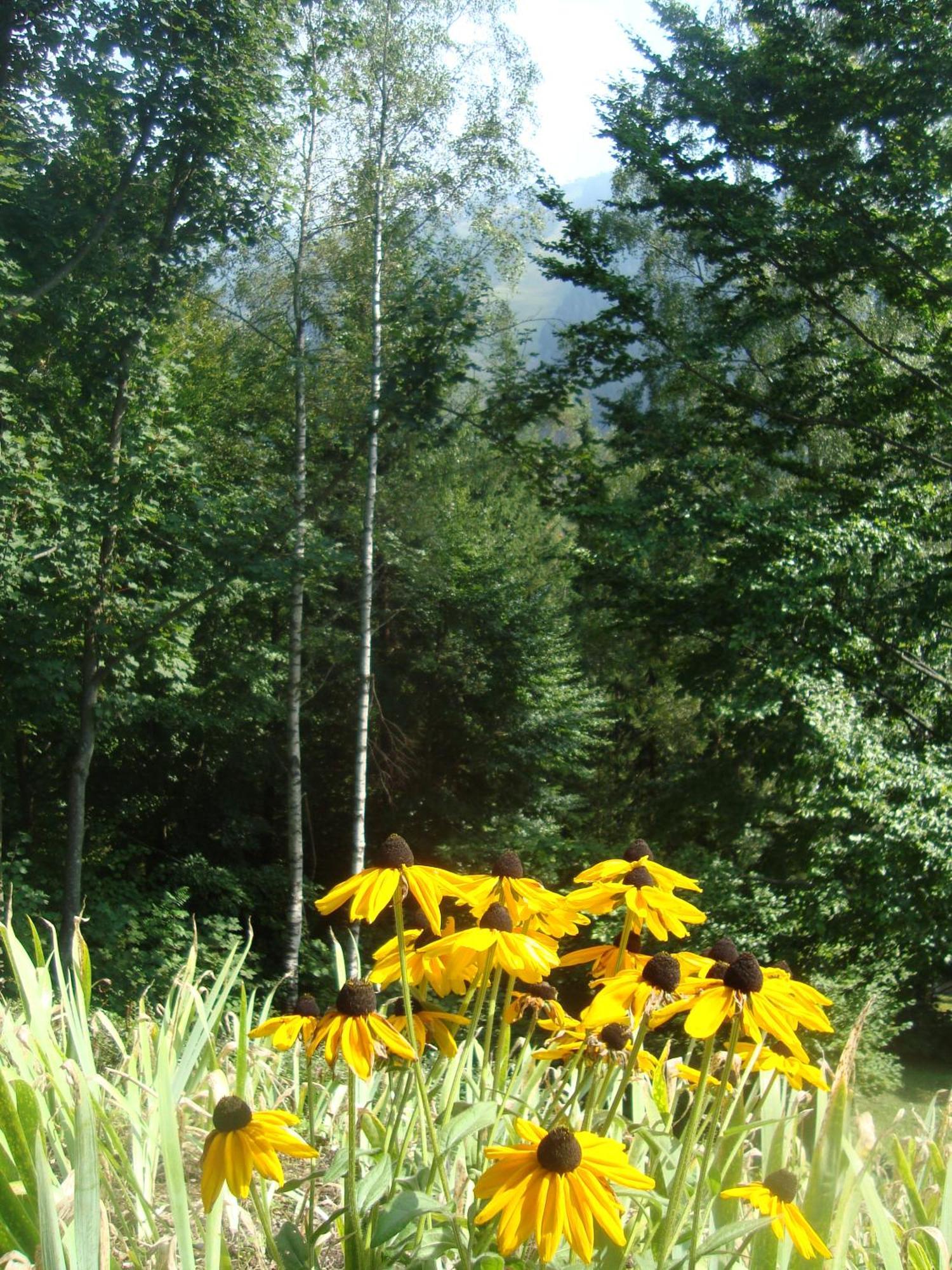 Semmering Villa Sonnenschein Dış mekan fotoğraf